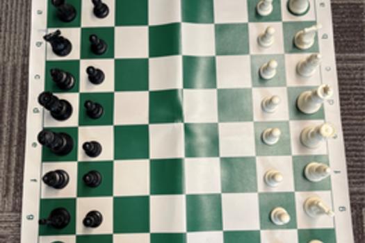 Chess Set - with bag to contain and transport